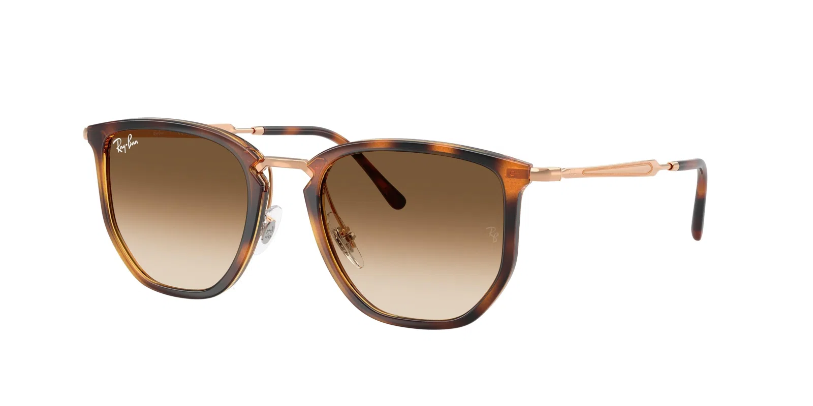 Ray-Ban 4451 Sunglasses - view 14